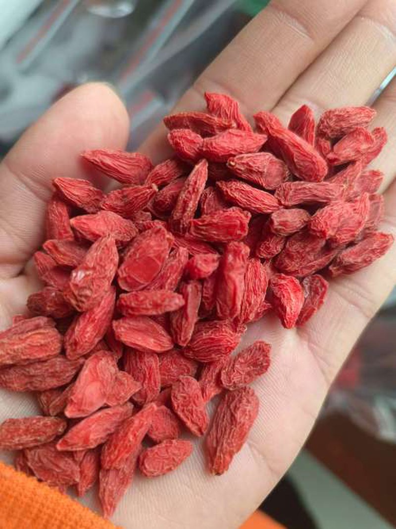 粮油批发行业市场动态透视：从传统到现代